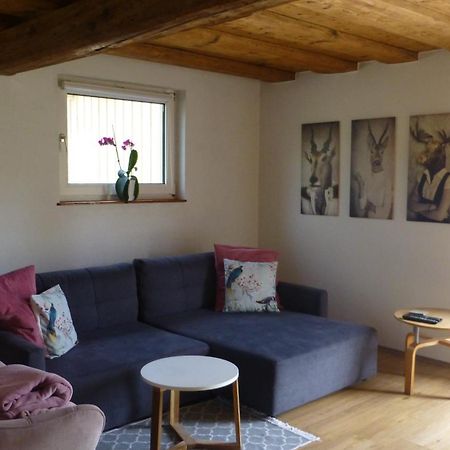 Ferienwohnung Rabennest باد اسشي المظهر الخارجي الصورة